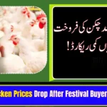 Chicken Prices Drop After Festival Buyers See Relief